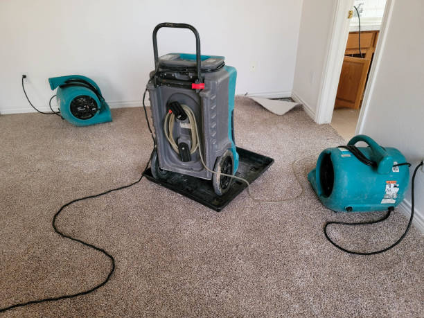 Best Fire Damage Restoration  in Helena, OK