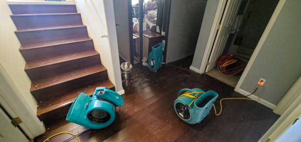 Best Water damage restoration cost  in Helena, OK