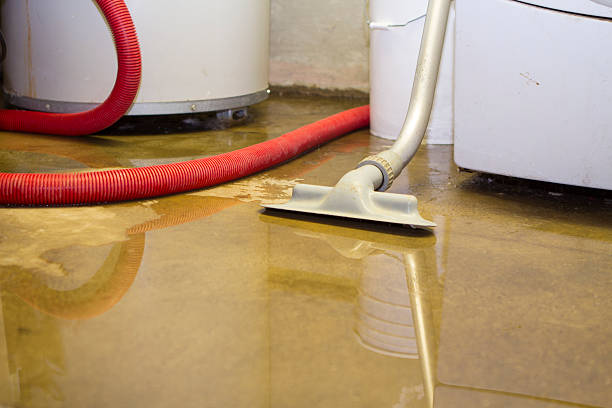 Best Local water damage restoration  in Helena, OK
