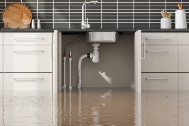 Best Water damage restoration near me  in Helena, OK