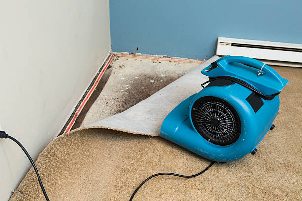 Best Professional water damage repair  in Helena, OK